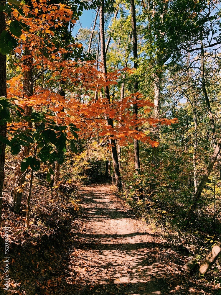 Naklejka premium Processed with VSCO with c1 preset