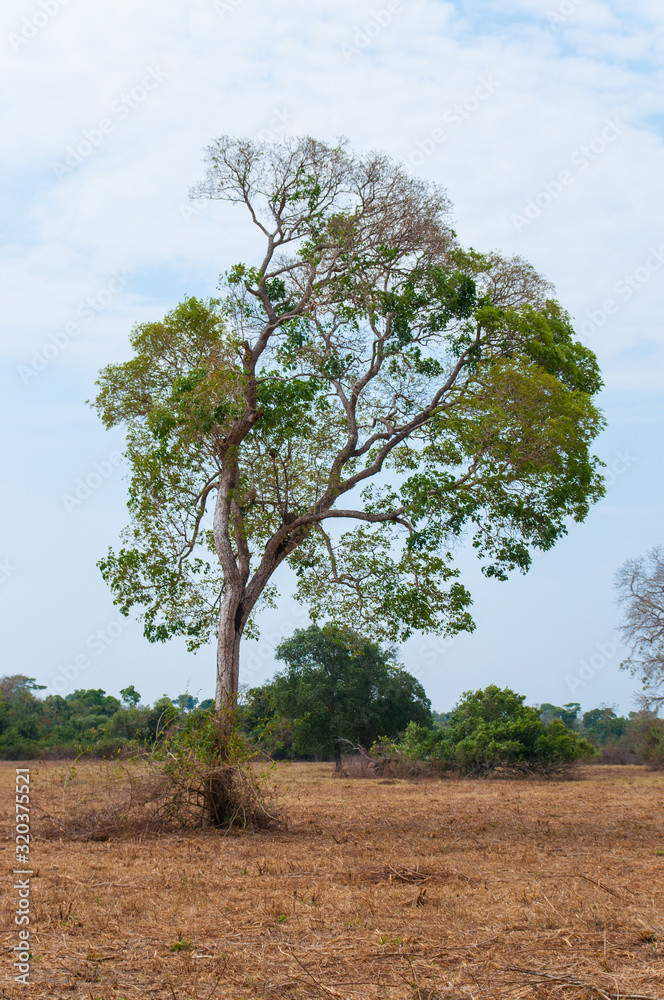 Obraz premium 2019_october_brazil_trip