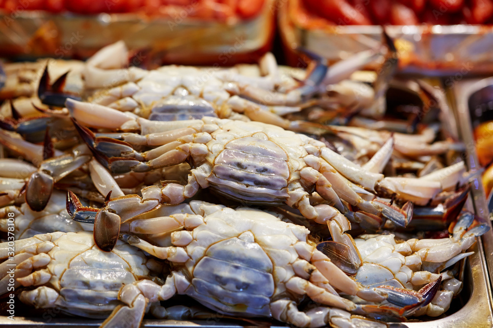 Ganjang gejang, Korean soy sauce marinated crabs StockFoto Adobe Stock