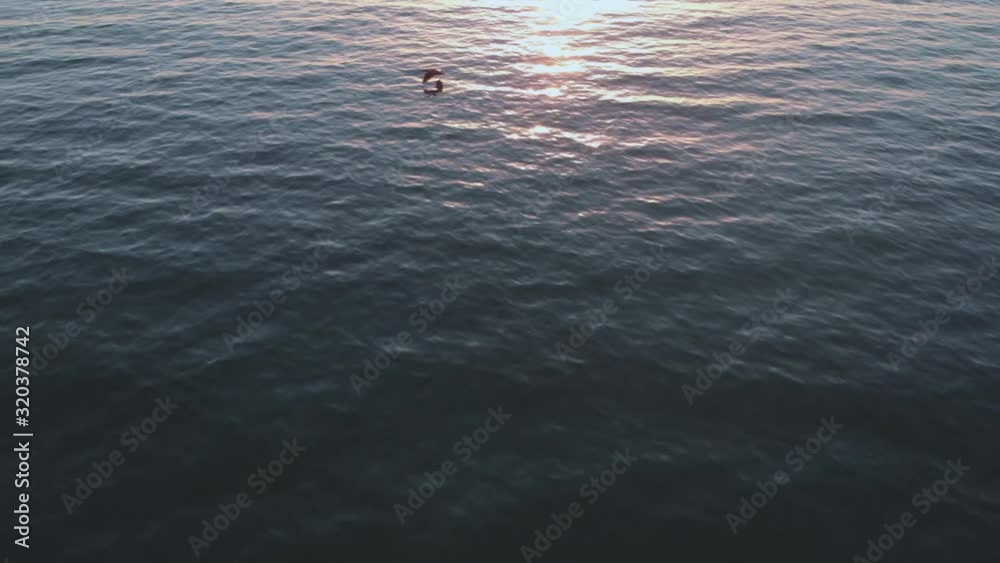Cinematic aerial video footage flying over calm ocean blue water as view pan up from the sea view to beautiful golden sunset on the horizon while bird fly's over water