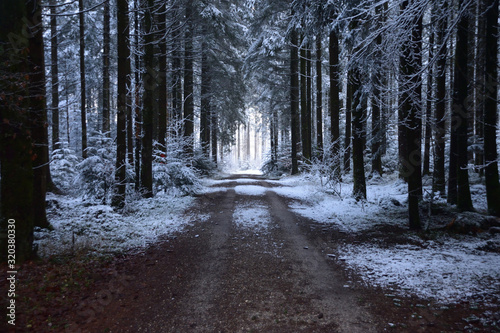 Winterweg photo