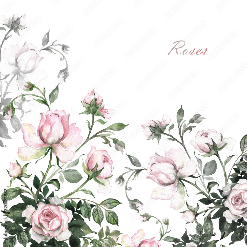  Watercolor background branch delicate roses