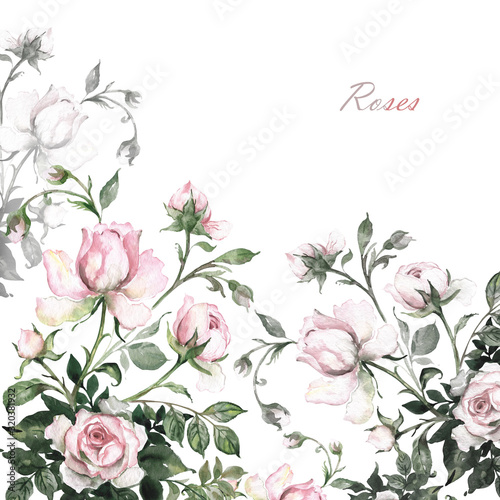 Fototapeta Naklejka Na Ścianę i Meble -   Watercolor background branch delicate roses