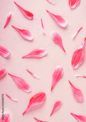 background with pink rose petals