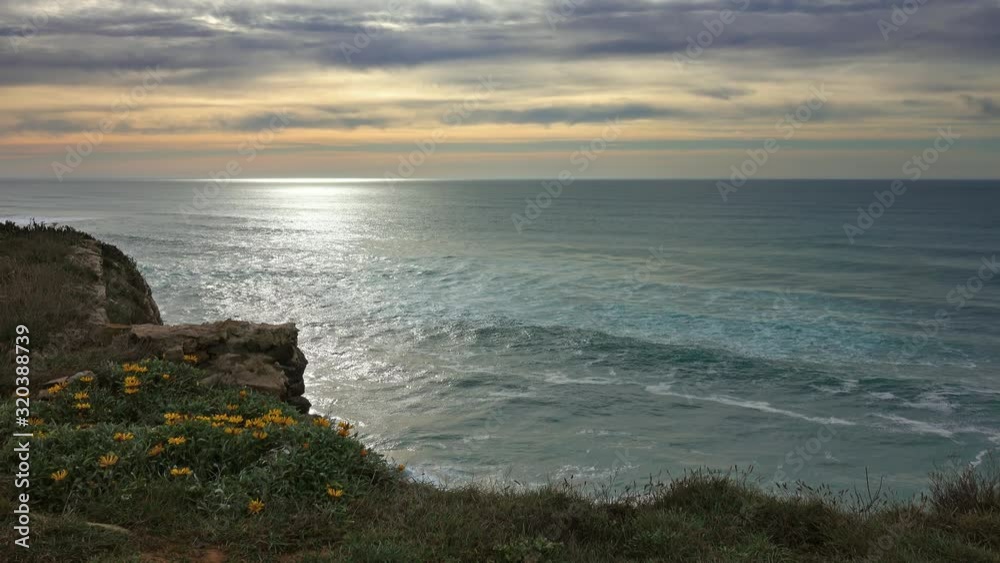 Blooming flower fields on the coast of the Atlantic ocean at sunset in Portugal, 4k Blooming flower fields on the coast of the Atlantic ocean at sunset in Portugal, 4k