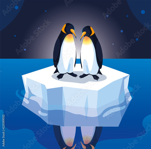 penguin couple on an ice floe drifting