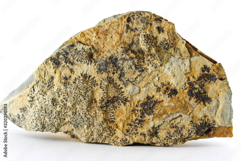 Yellow stone with patterns and ancient prints