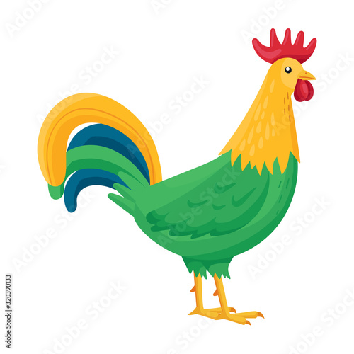 Cock of animal vector icon.Cartoon vector icon isolated on white background cock of animal.
