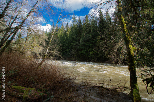 lynn creek  February  hiking