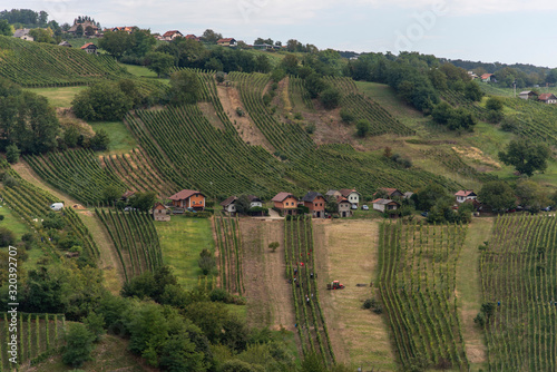 The view of Lendavske Gorice with wine yards