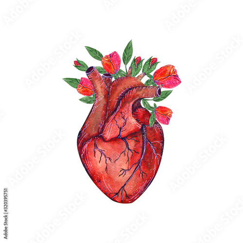 Billede på lærred Red blooming anatomical human heart  with flowers