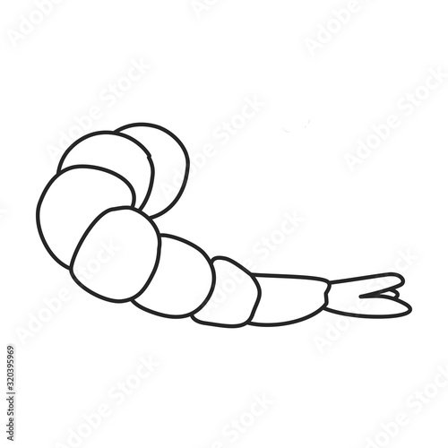 Shrimp vector icon.Outline,line vector icon isolated on white background shrimp .