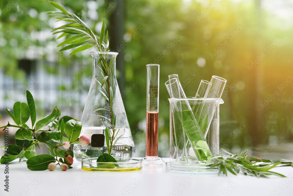Natural drug research, Natural organic and scientific extraction in glassware, Alternative green herb medicine, Natural skin care beauty products, Laboratory and development concept. - obrazy, fototapety, plakaty 