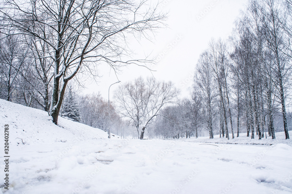 Winter city park. Trees and road with white snow