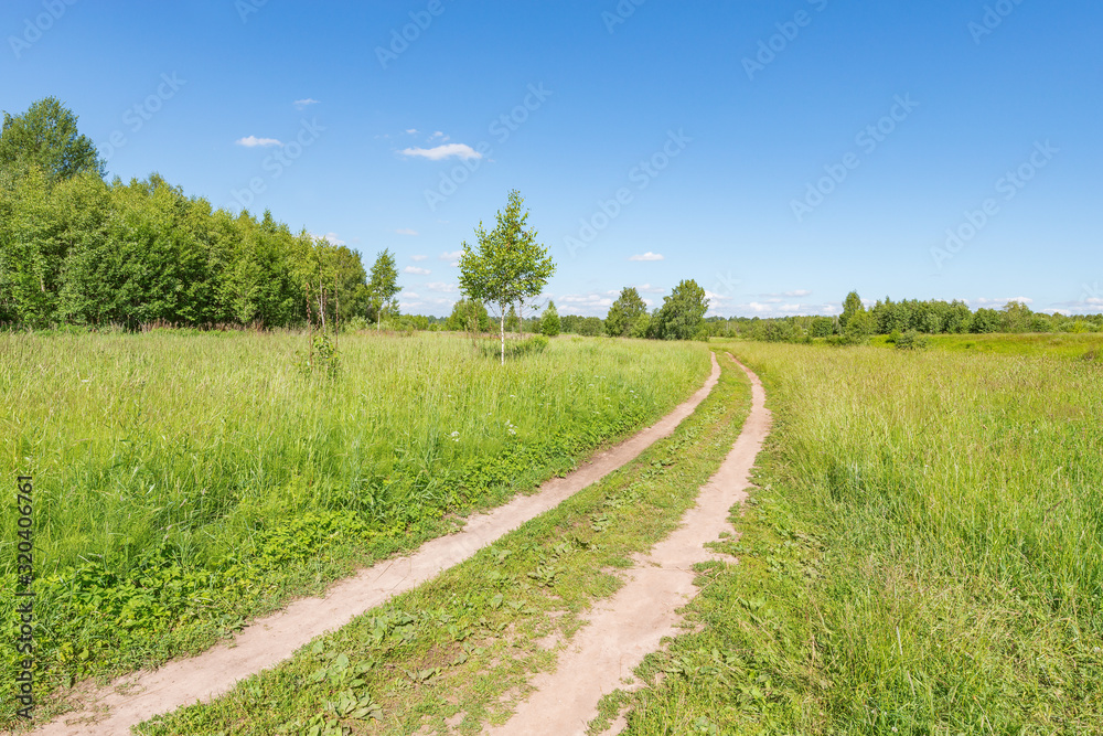 Road on the meadow at sunny day time.