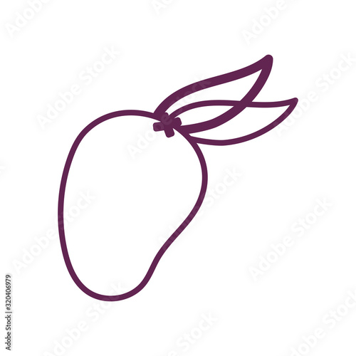 fresh mango fruit isolated icon