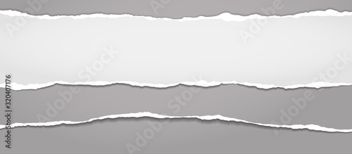 Pieces of torn, ripped and white paper with soft shadow are on dark grey background for text. Vector illustration