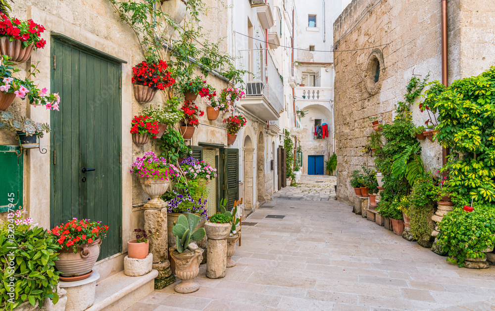 Fototapeta premium Scenic summer sight in Monopoli, Bari Province, Puglia (Apulia), southern Italy.