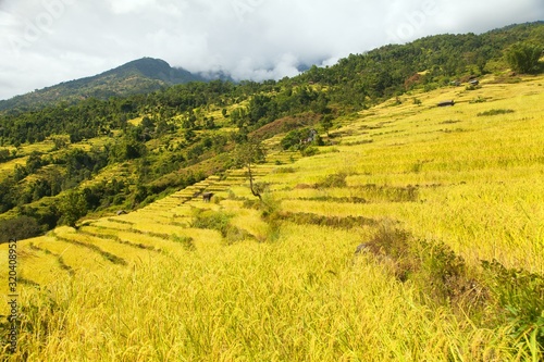 rice or paddy fields in Nepal Himalayas mountains © Daniel Prudek
