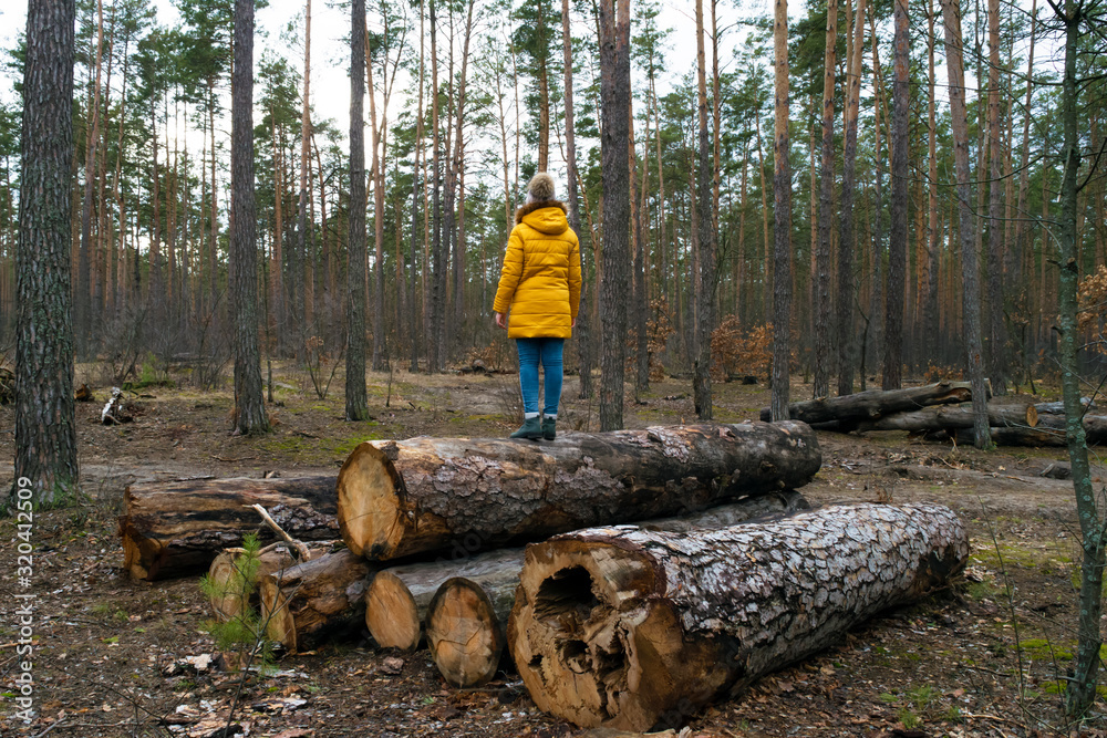 Girl in yellow in pine forest Girl in yellow in pine forest