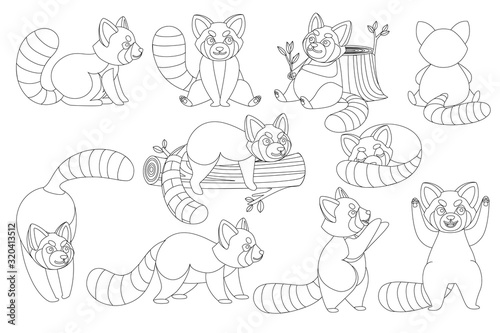 Set of cute adorable red panda in different poses cartoon design animal character flat vector style illustration on white background outline style