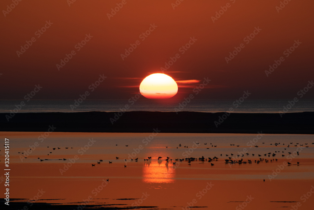 sunset at sea with birds on the water