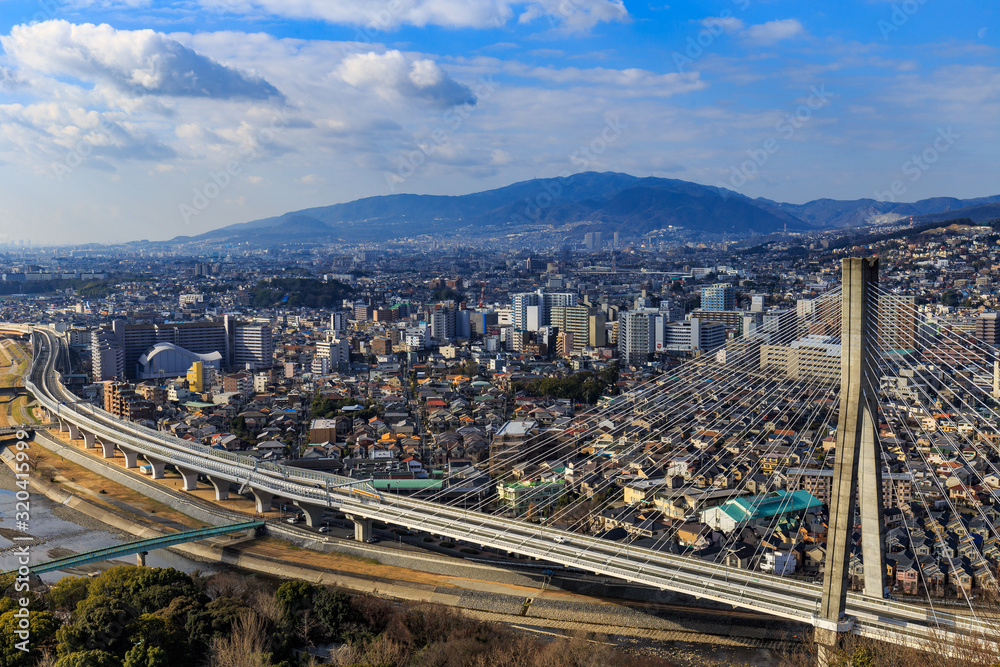 展望台から望む橋と都市景観