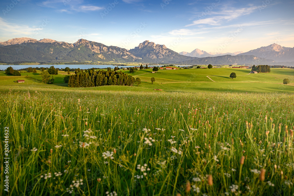 Fototapeta premium Idyllic rural Bavaria, Allgäu, Germany