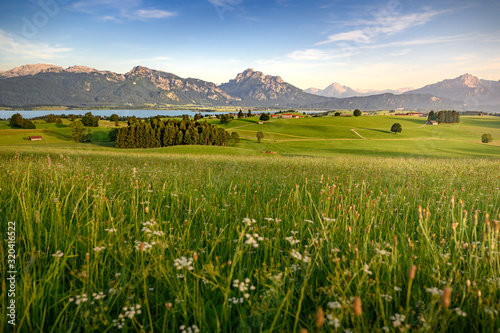 Fototapeta Naklejka Na Ścianę i Meble -  Idyllic rural Bavaria, Allgäu, Germany