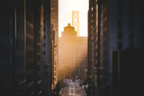 Downtown San Francisco with famous California Street illuminated in first golden morning light at sunrise in summer, San Francisco, California, USA