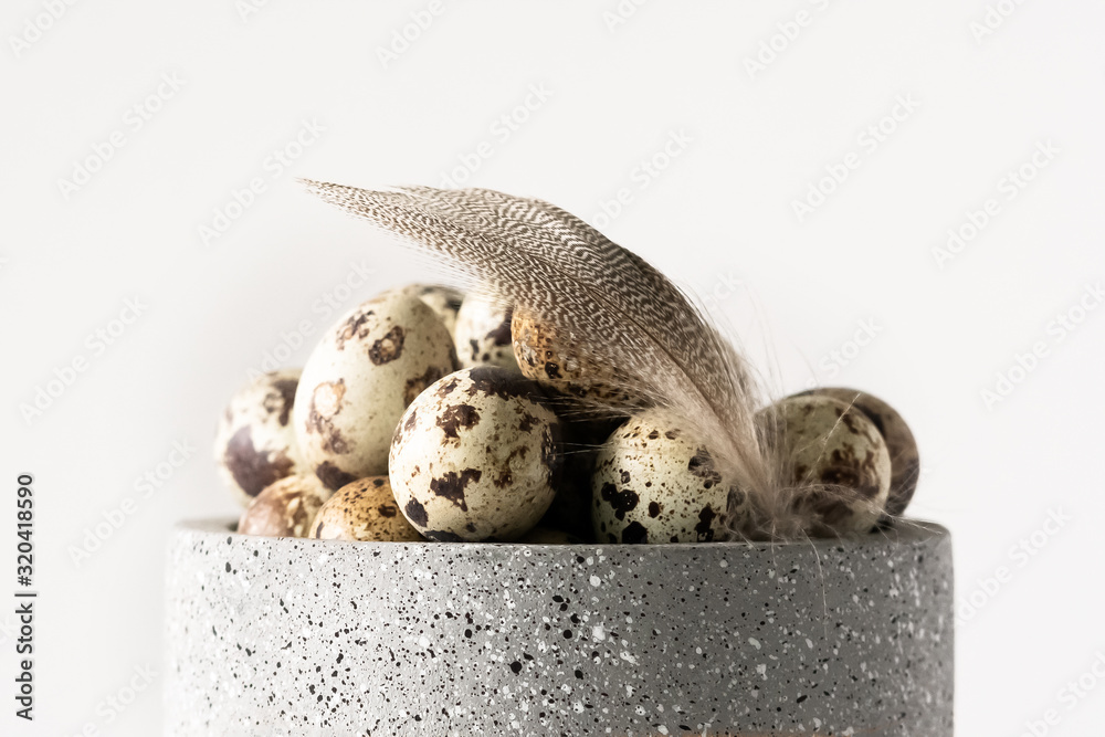 Quail Easter eggs and feathers in ceramic bowl on white background. Natural healthy food and organic farming, easter and spring concept.