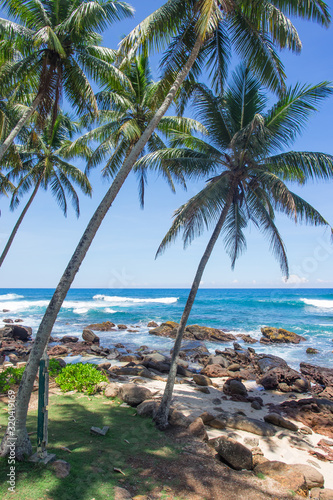 Tropical beach with palm trees. Turquoise sea. A powerful wave with splashes and foam breaks on a rocky shore. Sri Lanka, Dondra Lighthouse