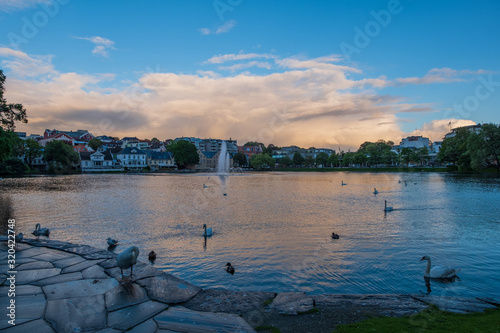 Swans in Stavanger Sentrum Byparken on lake Breiavatnet. Stavanger, Norway, july 2019 photo