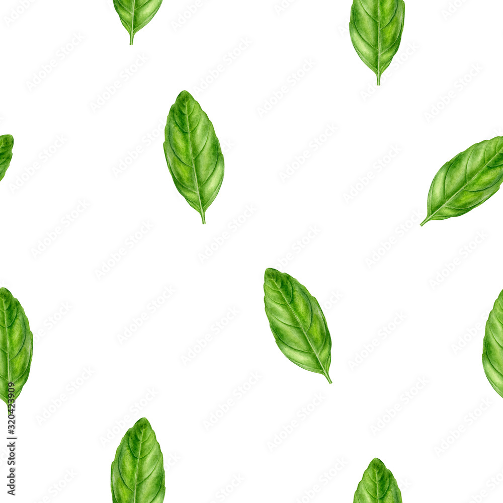 Fototapeta premium Basil leaf watercolor illustration seamless pattern.