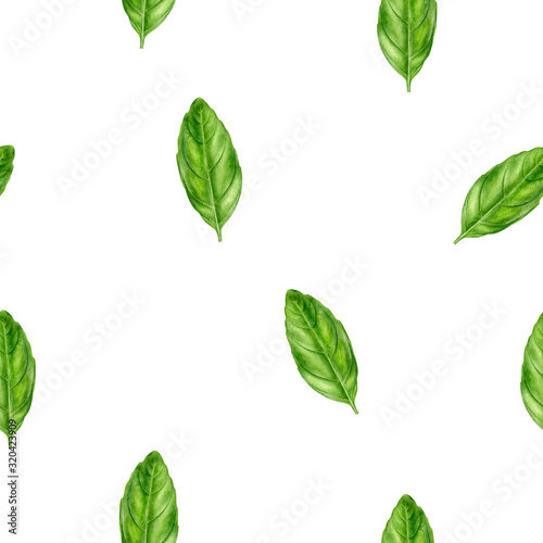 Basil leaf watercolor illustration seamless pattern.