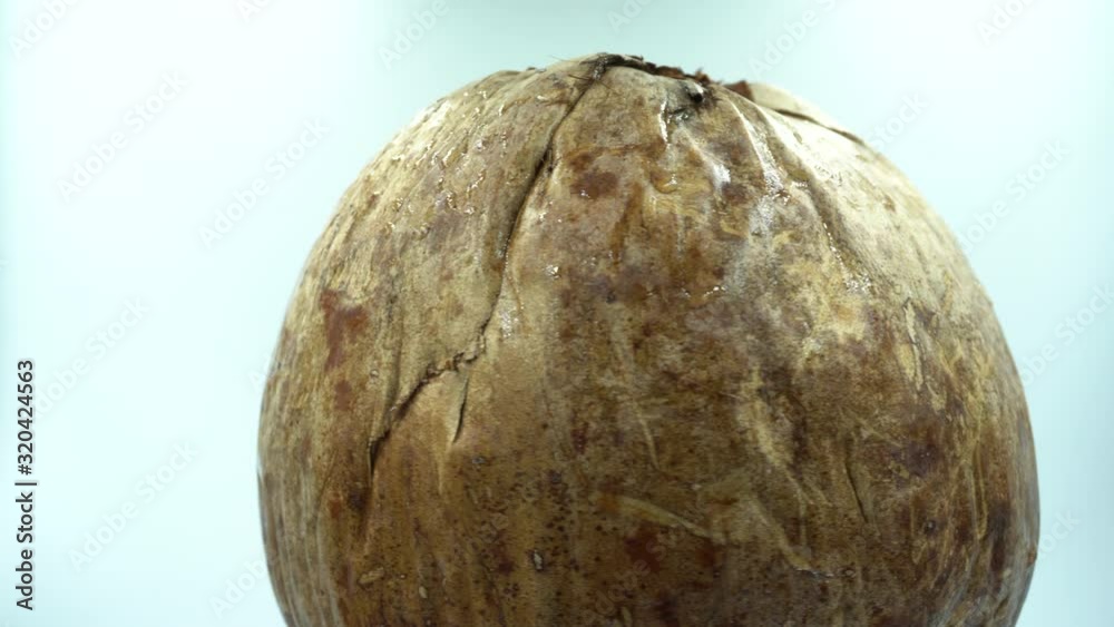 brown coconut in white background. brown coconut in white background.