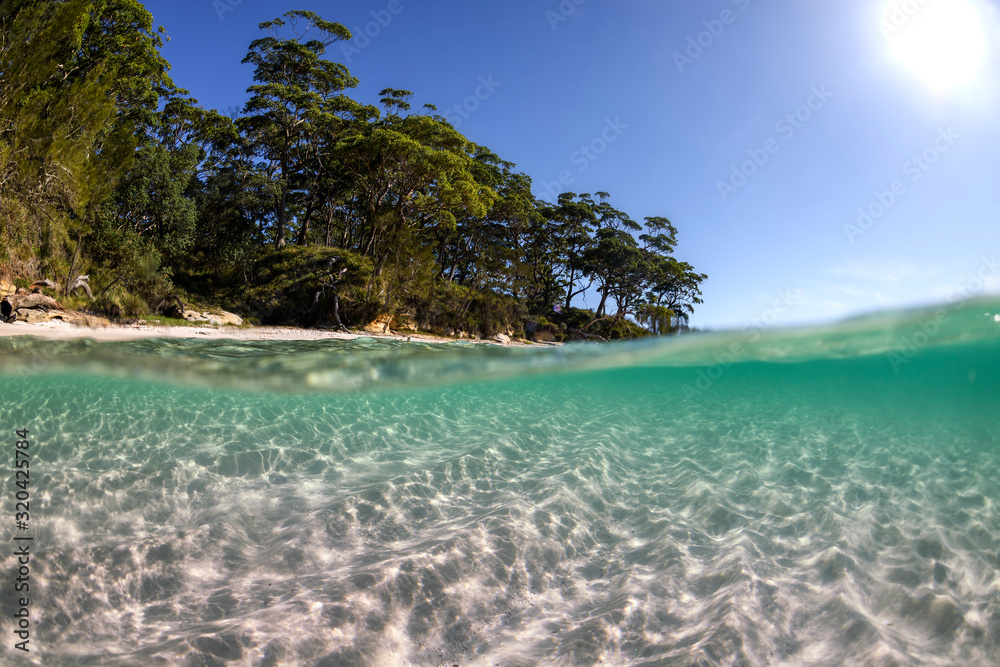 Fototapeta premium Underwater paradise, Jervis Bay, Australia