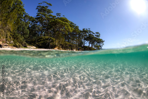Fototapeta Naklejka Na Ścianę i Meble -  Underwater paradise, Jervis Bay, Australia