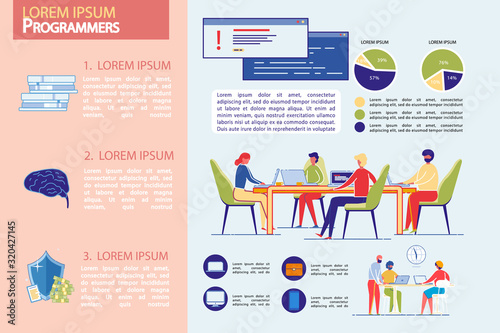 Programmers Professional Team Infographic Set.