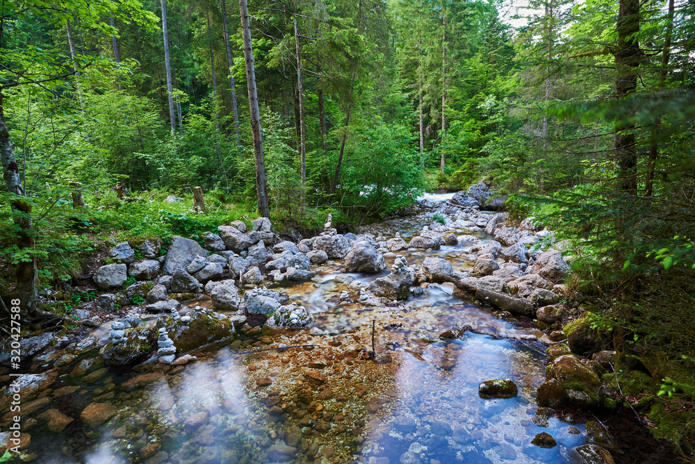 Obraz premium Mountain watercourse in Austria. Salzkammergut region