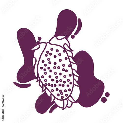 fresh exotic fruit isolated icon