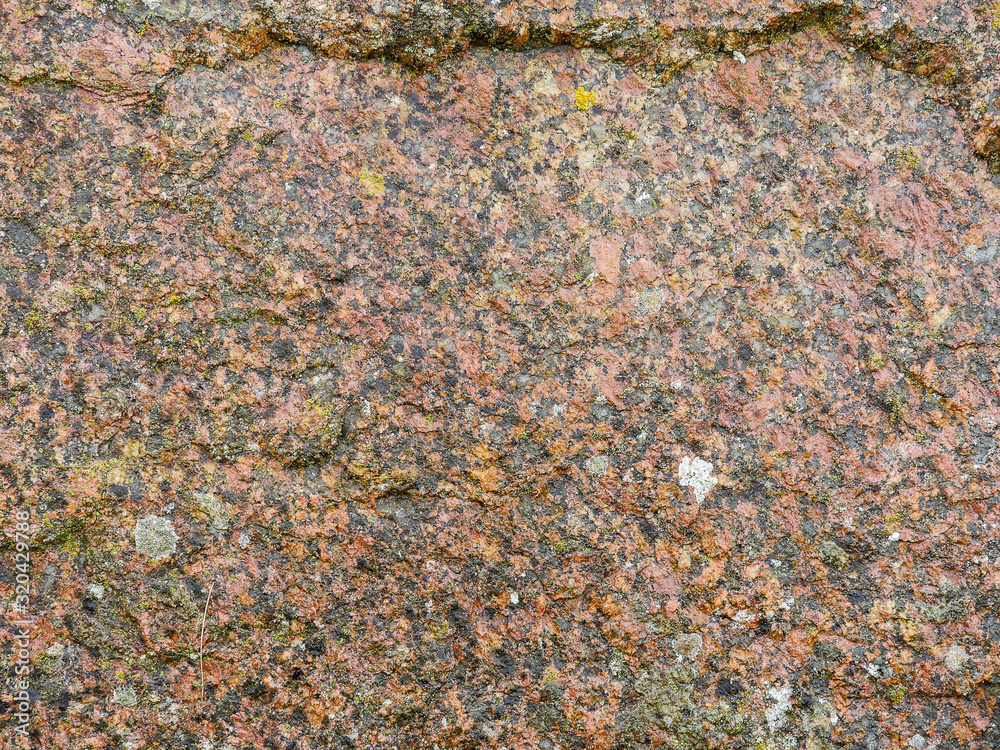 Close up texture of a light brown stone. Abstract nature background. Close up texture of a light brown stone. Abstract nature background.