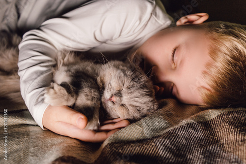 Boy and cat. Scottish fold cat in the arms of a boy. The concept of a pet in family education and a loving home. Horizontal.