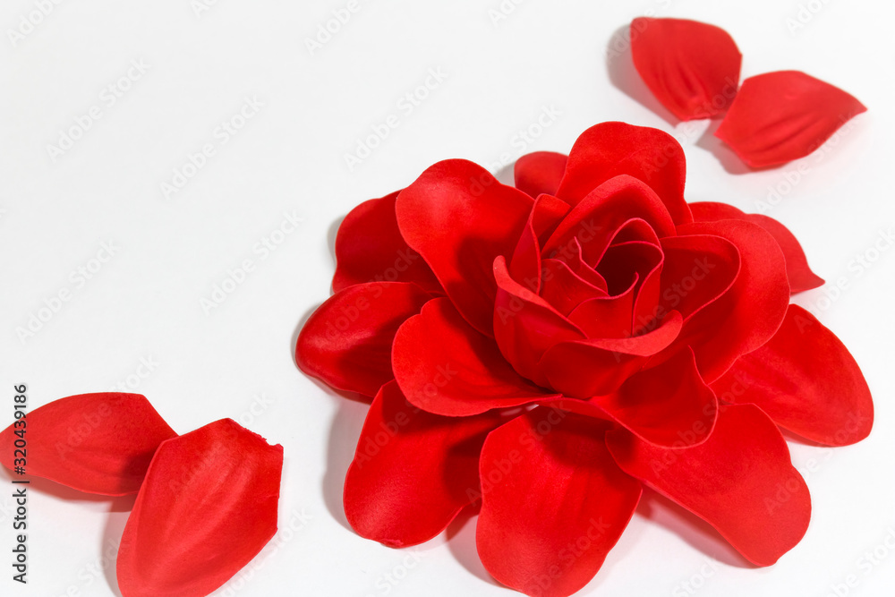 decorative red rose and red petals on white background, holiday, wedding, Valentine's day decorative red rose and red petals on white background, holiday, wedding, Valentine's day