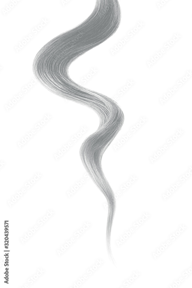 Gray hair on white background, isolated. Thin curly thread Gray hair on white background, isolated. Thin curly thread