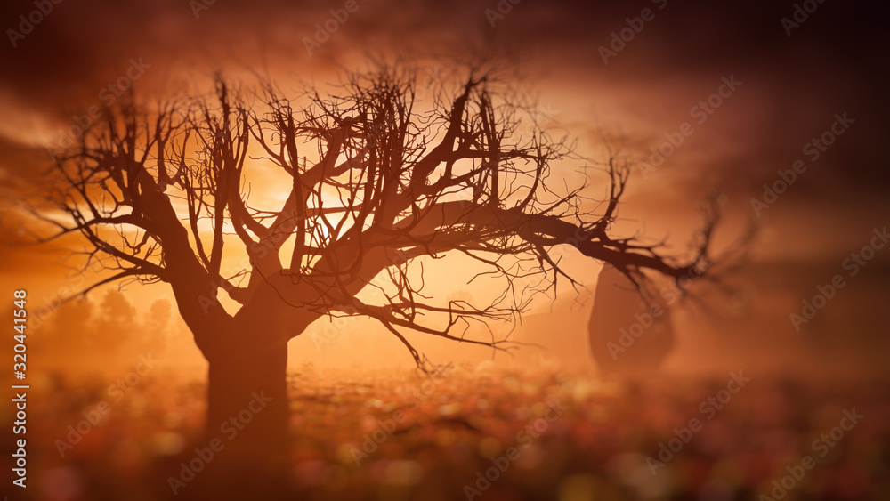 dreamy sunset fantasy tree and landscape environment with soft focus dreamy sunset fantasy tree and landscape environment with soft focus