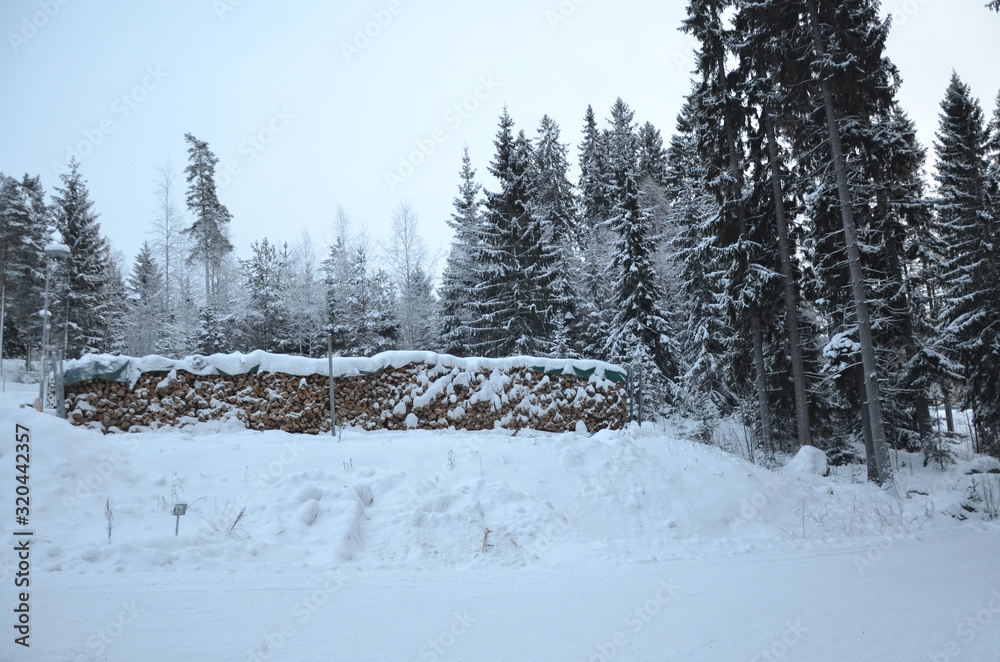 Fototapeta premium Winter time in Tampere forest with nobody around. Tampere is a city in Pirkanmaa, southern Finland. It is the most populous inland city in the Nordic countries.