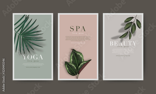 Set of minimal banner for branding packaging. Tropical summer plant and leaf with shadow background. For spa resort luxury hotel, yoga, beauty, cosmetic, organic texture. vector illustration.