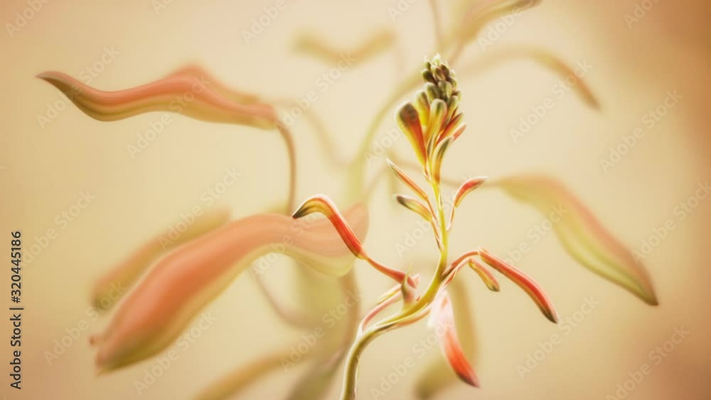 Trippy background featuring a rippling aloe vera flower in warm colours. Trippy background featuring a rippling aloe vera flower in warm colours.