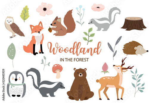 Fototapeta Naklejka Na Ścianę i Meble -  Cute woodland object collection with bear,owl,fox,skunk,mushroom and leaves.Vector illustration for icon,logo,sticker,printable